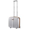 Bild von 2-Rollen-Trolley Lite-Cube DLX, Aluminium
