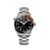 Bild von Herrenuhr "Seamaster Planet Ocean"