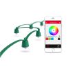 Bild von Playbulb "String", Green