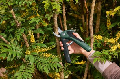 Bild von Gartenschere "EasyPrune"