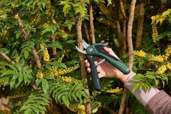 Bild von Gartenschere "EasyPrune"
