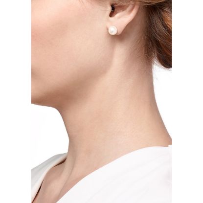 Bild von Christ Pearls Weißgold Ohrstecker mit Akoya-Zuchtperle